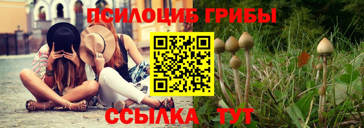 Галлюциногенные грибы мухоморы  купить наркоту  Стрежевой  Вход с VPN 